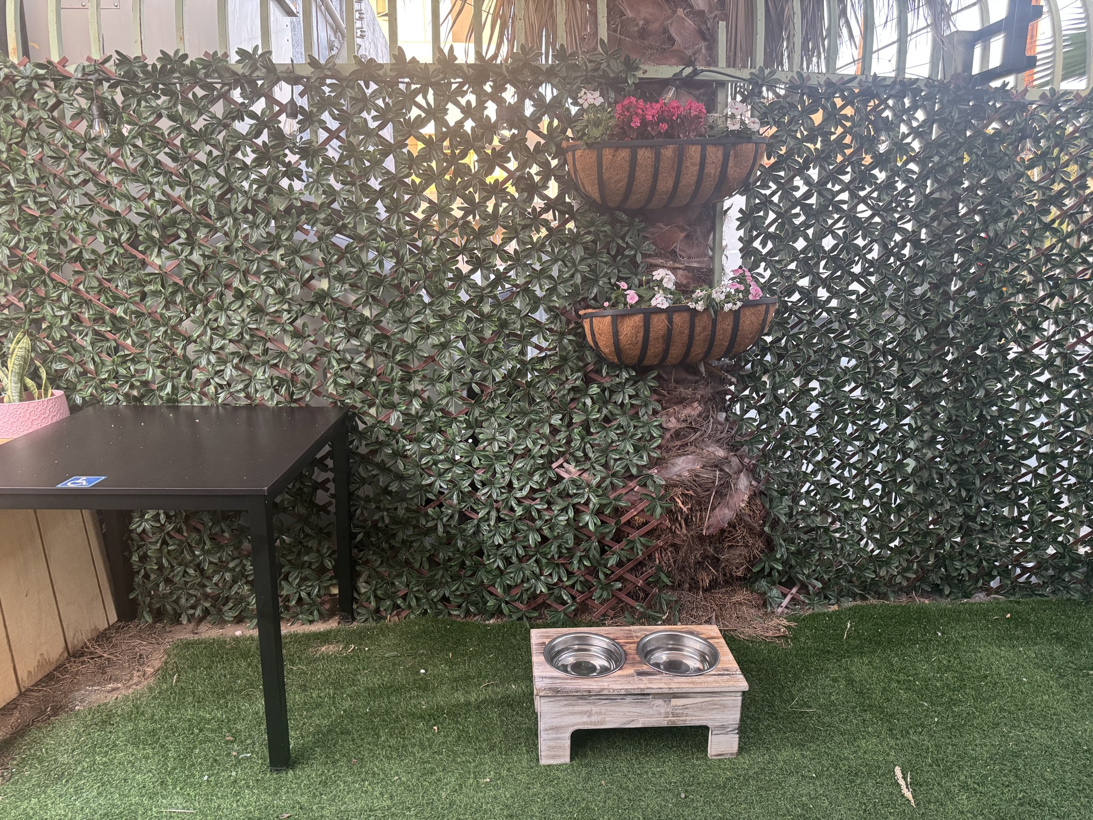 A dog drinking from a raised wooden water bowl stand